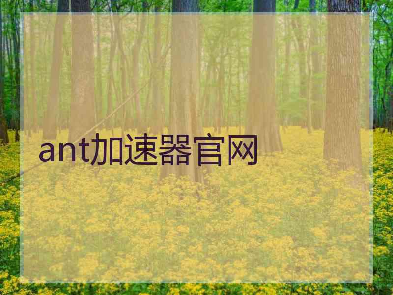 ant加速器官网