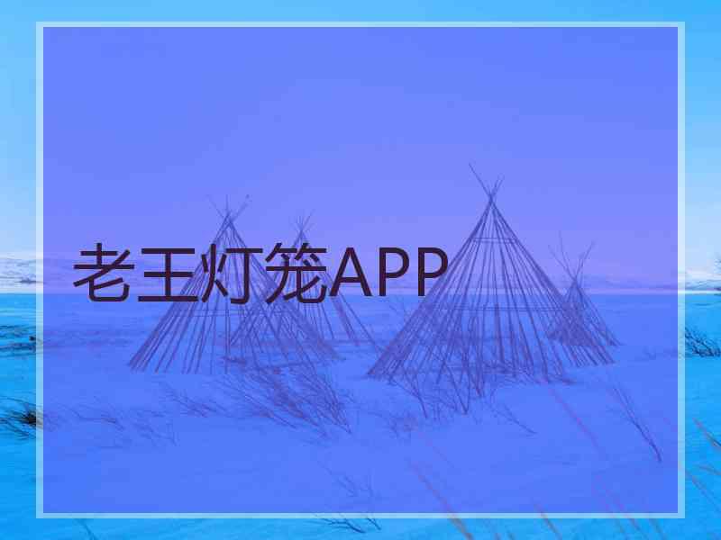 老王灯笼APP