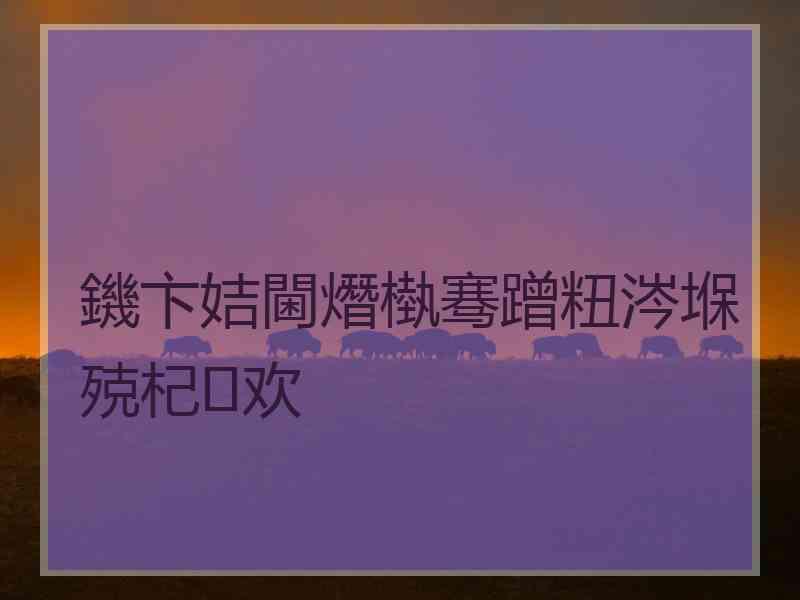 鐖卞姞閫熸槸骞蹭粈涔堢殑杞欢