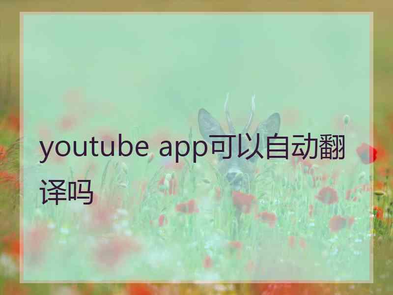 youtube app可以自动翻译吗