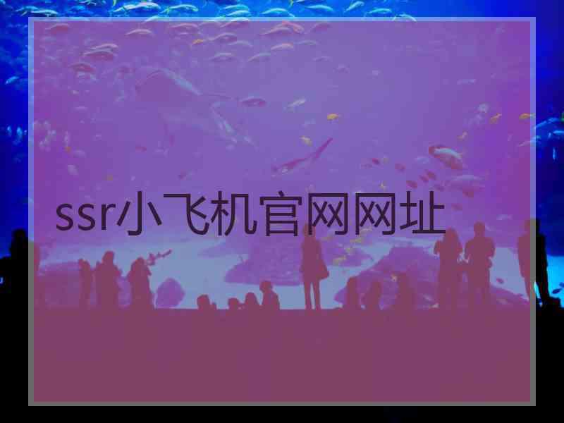 ssr小飞机官网网址