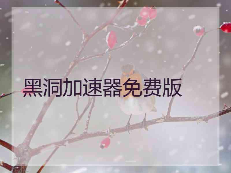 黑洞加速器免费版