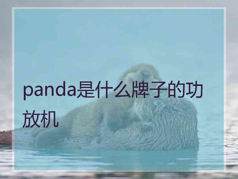 panda是什么牌子的功放机