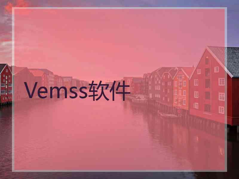 Vemss软件