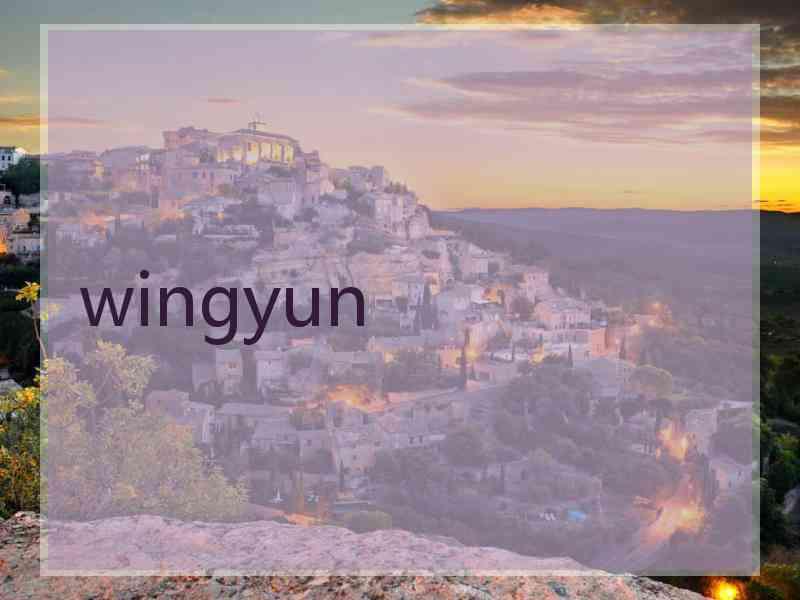 wingyun