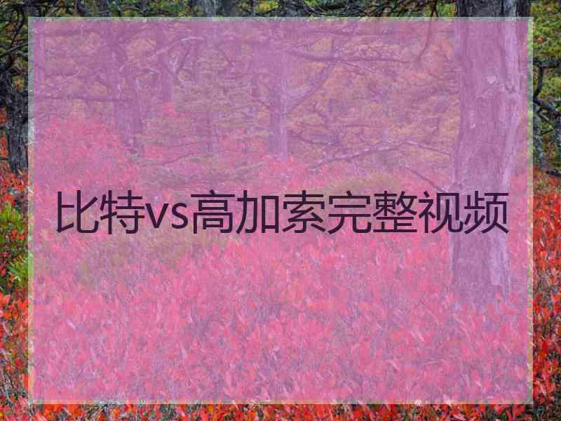 比特vs高加索完整视频