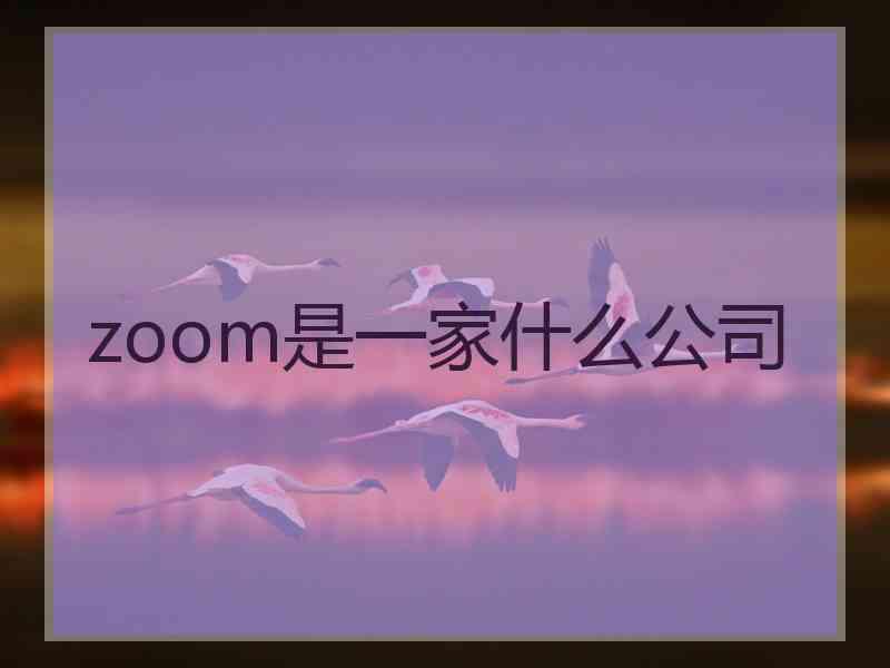 zoom是一家什么公司