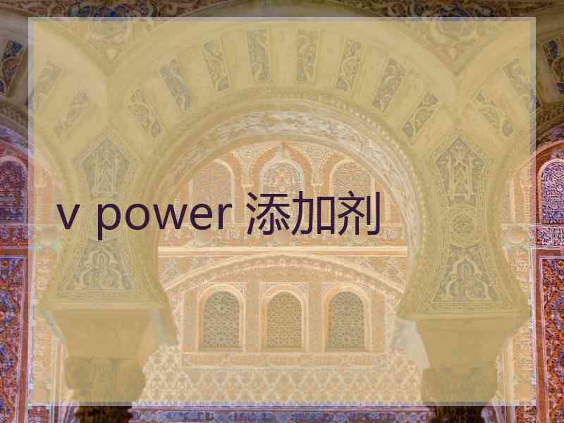 v power 添加剂