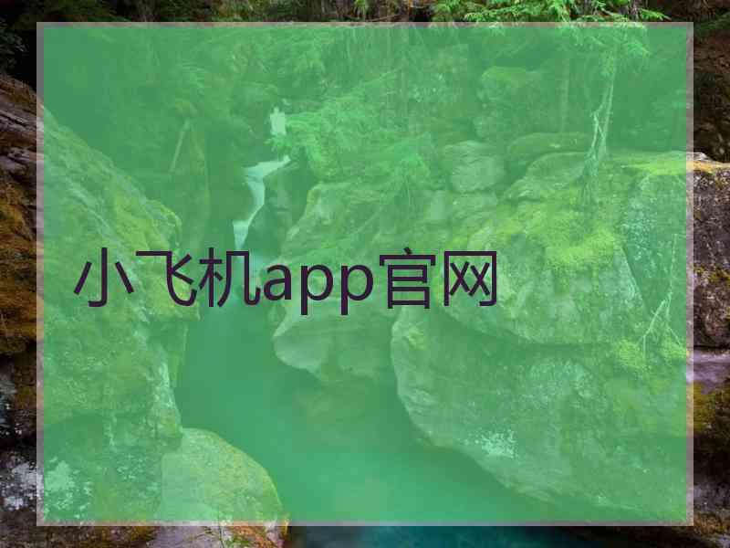 小飞机app官网