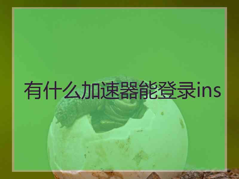 有什么加速器能登录ins