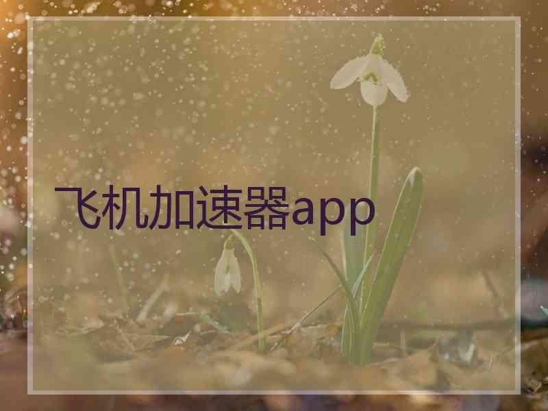 飞机加速器app