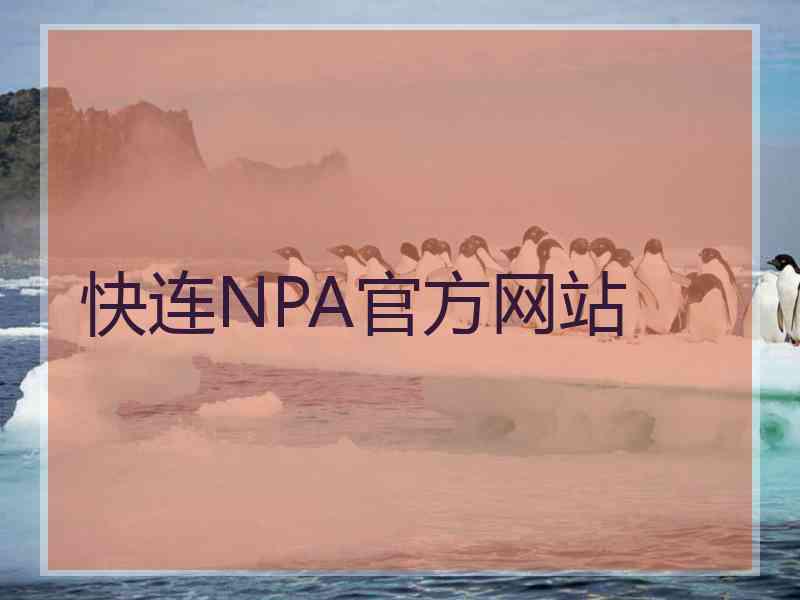 快连NPA官方网站