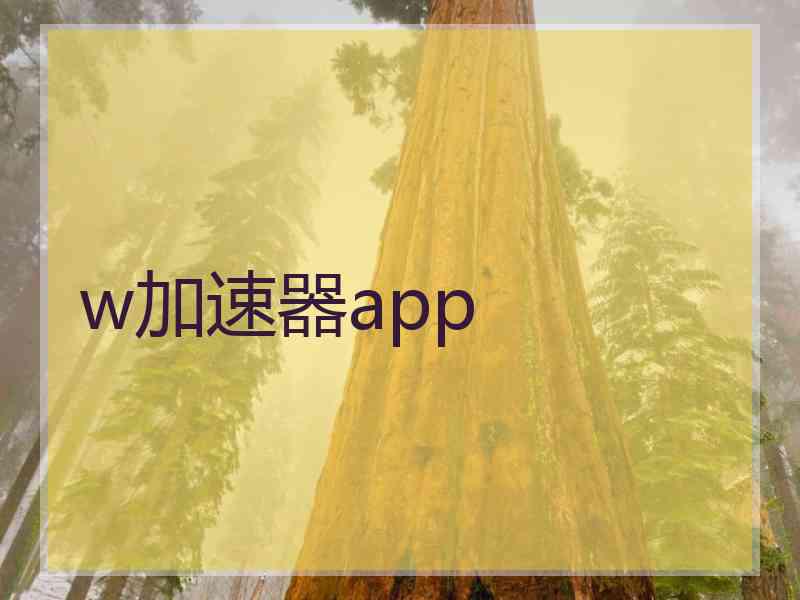 w加速器app