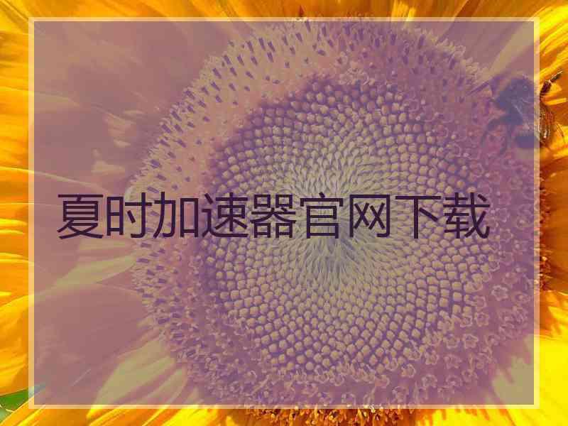 夏时加速器官网下载