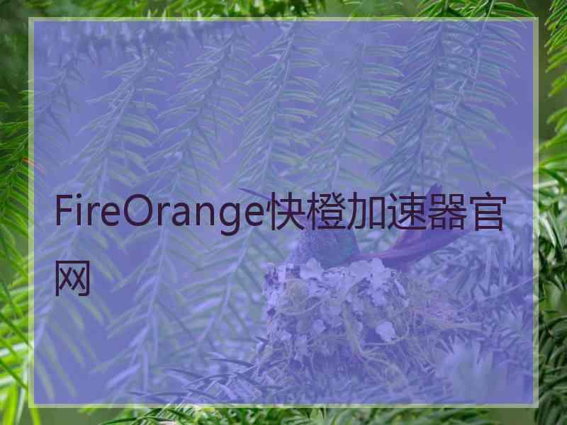 FireOrange快橙加速器官网