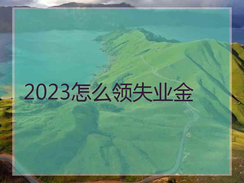 2023怎么领失业金