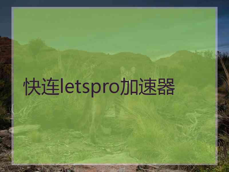 快连letspro加速器