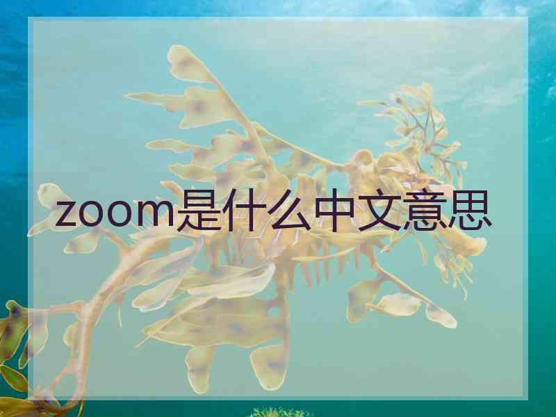 zoom是什么中文意思