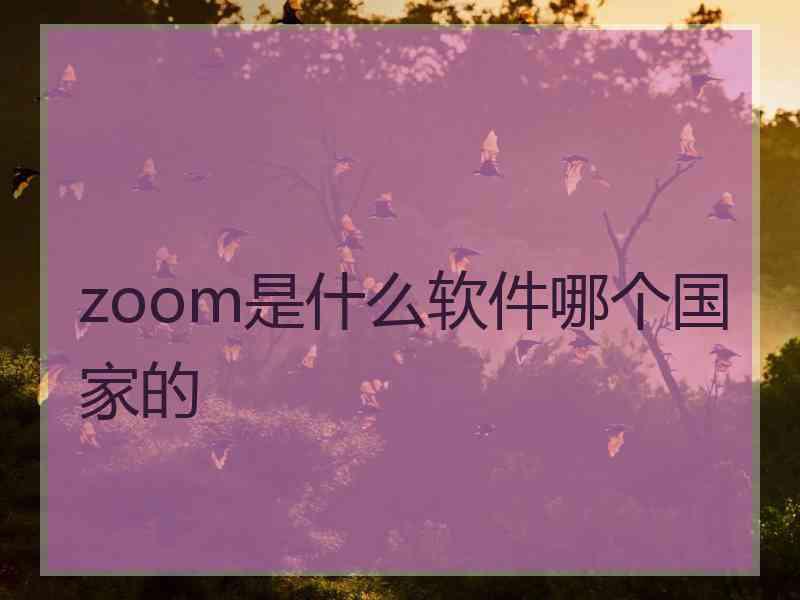 zoom是什么软件哪个国家的