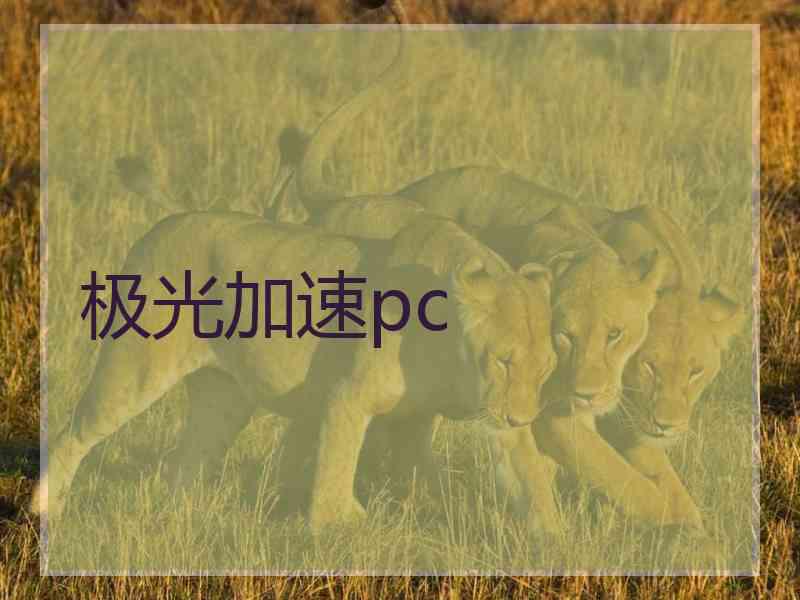 极光加速pc