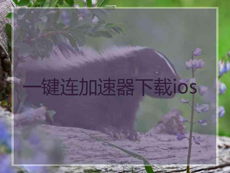 一键连加速器下载ios