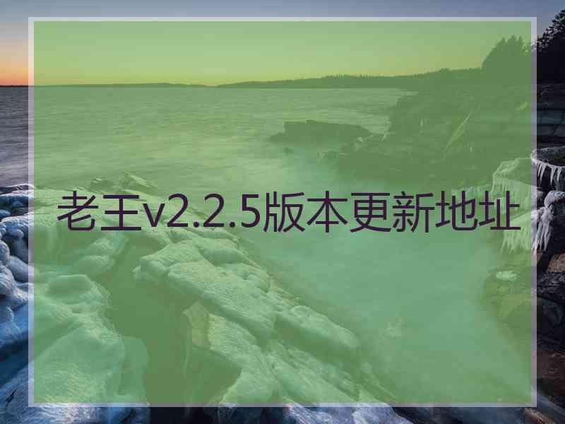 老王v2.2.5版本更新地址