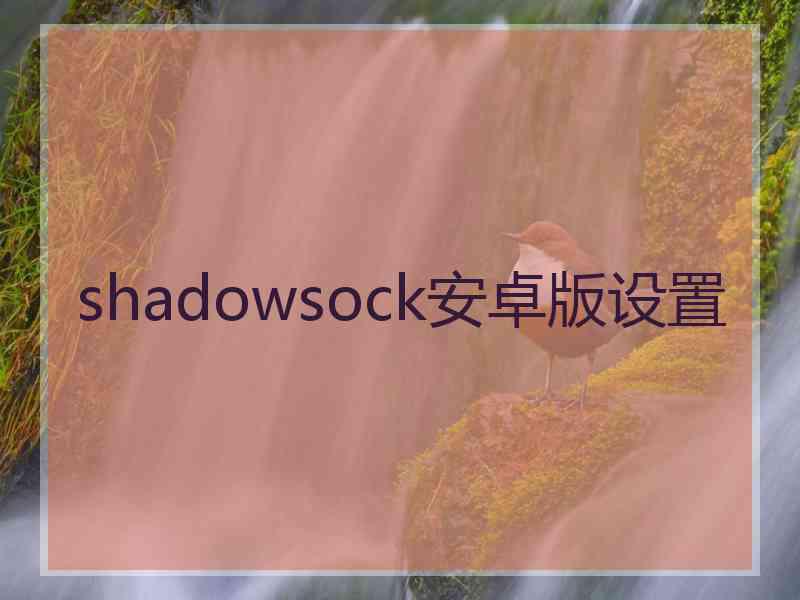 shadowsock安卓版设置