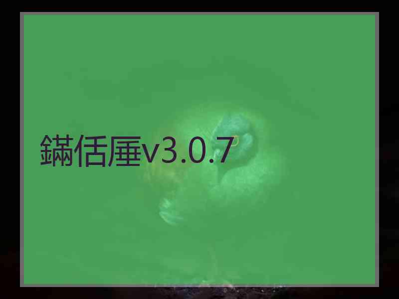 鏋佸厜v3.0.7