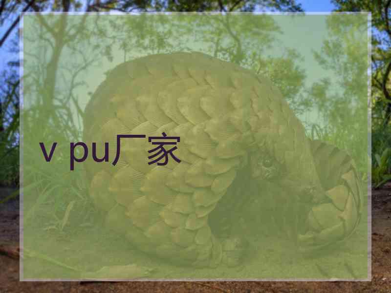 v pu厂家