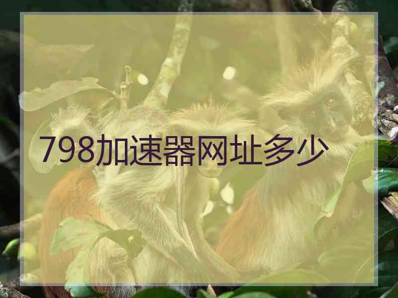 798加速器网址多少