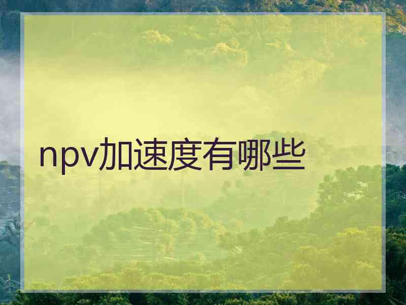 npv加速度有哪些