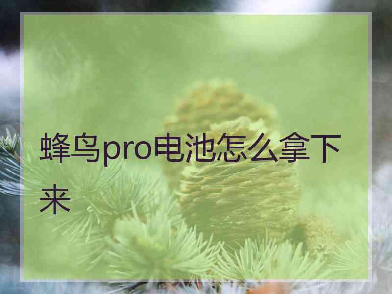 蜂鸟pro电池怎么拿下来