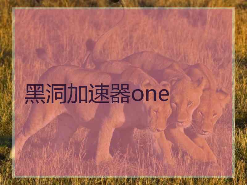 黑洞加速器one