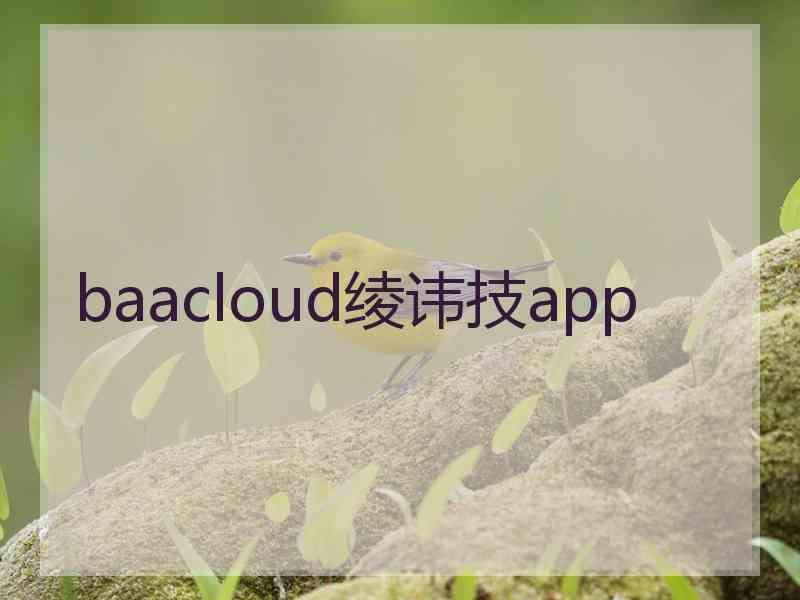 baacloud绫讳技app