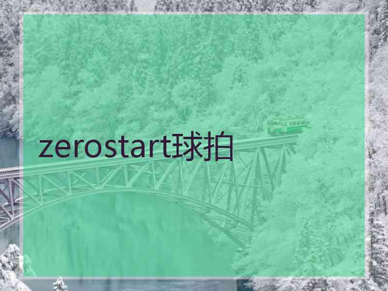 zerostart球拍