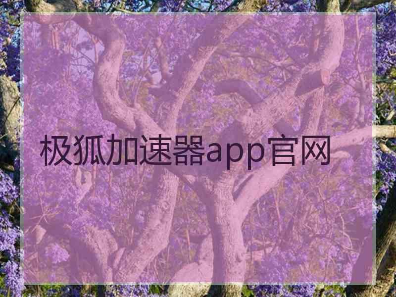 极狐加速器app官网