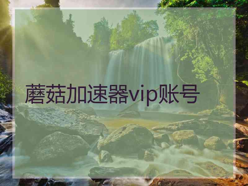 蘑菇加速器vip账号