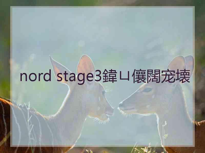 nord stage3鍏ㄩ儴闊宠壊