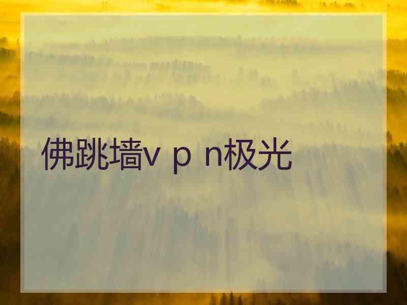 佛跳墙v p n极光