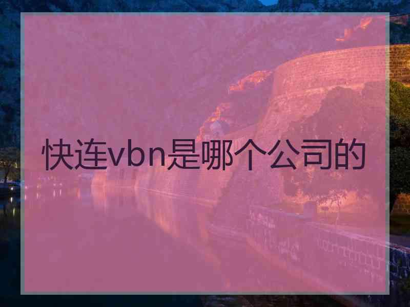 快连vbn是哪个公司的