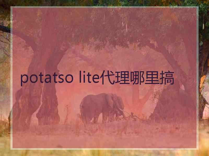 potatso lite代理哪里搞