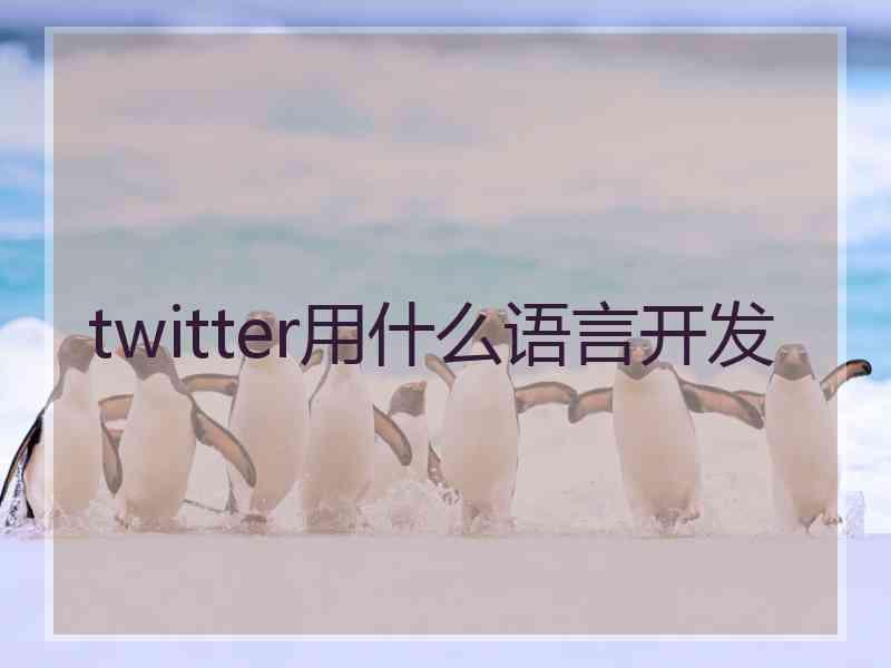 twitter用什么语言开发