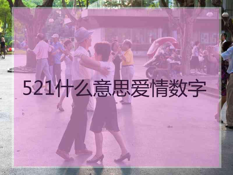 521什么意思爱情数字