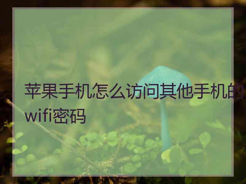 苹果手机怎么访问其他手机的wifi密码