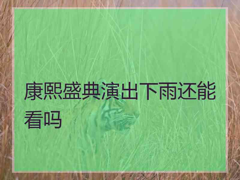 康熙盛典演出下雨还能看吗