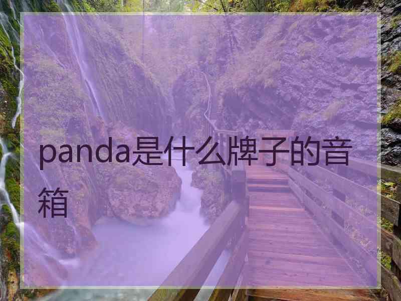 panda是什么牌子的音箱