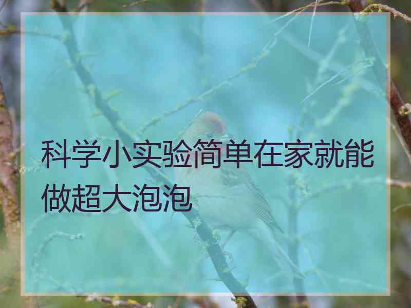 科学小实验简单在家就能做超大泡泡