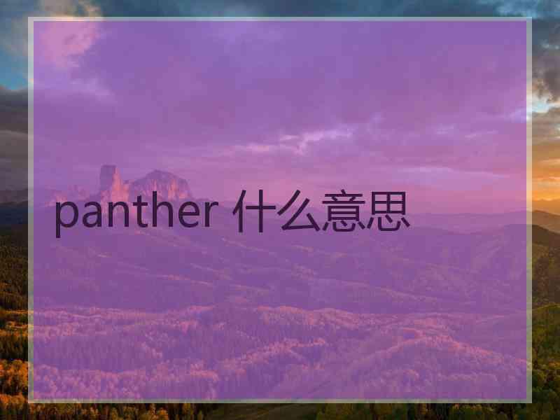 panther 什么意思