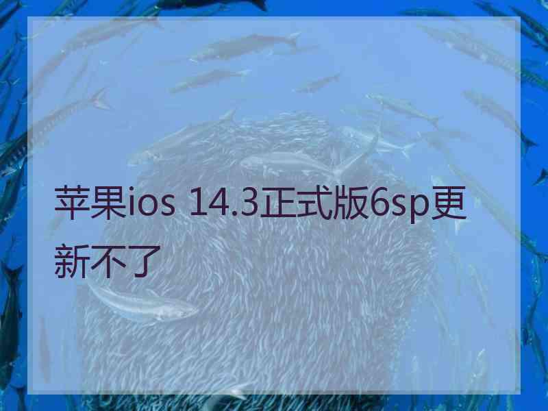 苹果ios 14.3正式版6sp更新不了