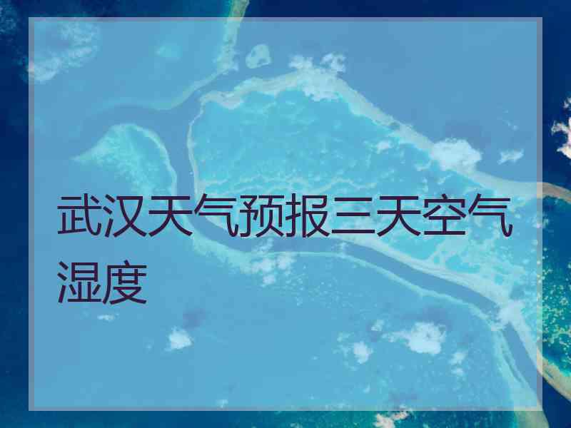 武汉天气预报三天空气湿度